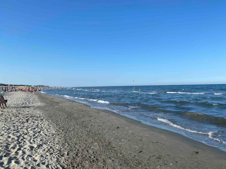 “Casa Alex” A Pochi Km Dal Mare Villa Scardovari Екстериор снимка